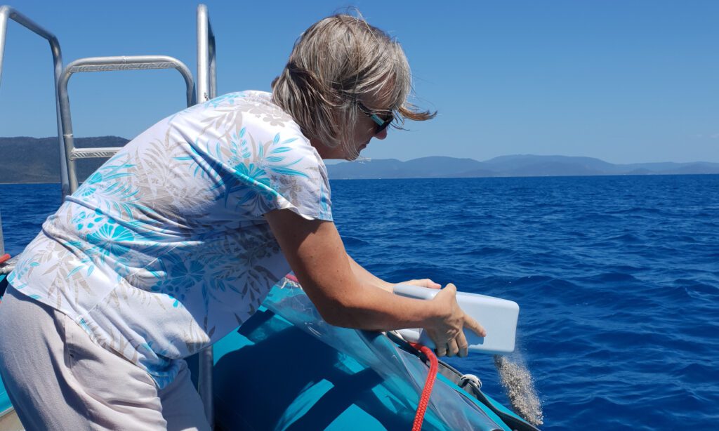 Scattering Norbert's ashes into the ocean